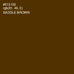 #513100 - Saddle Brown Color Image